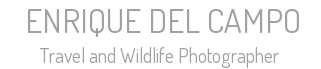 ENRIQUE DEL CAMPO - Travel and Wildlife Photographer